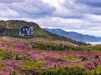 Tickle Cove